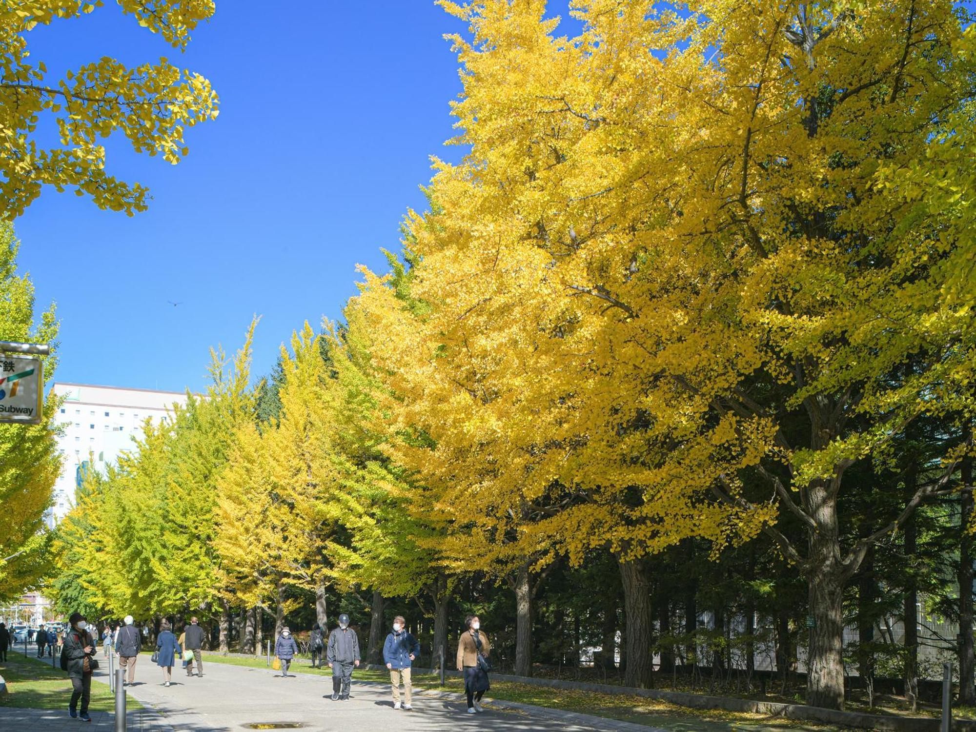 Vessel Inn Sapporo Nakajima Park Bagian luar foto